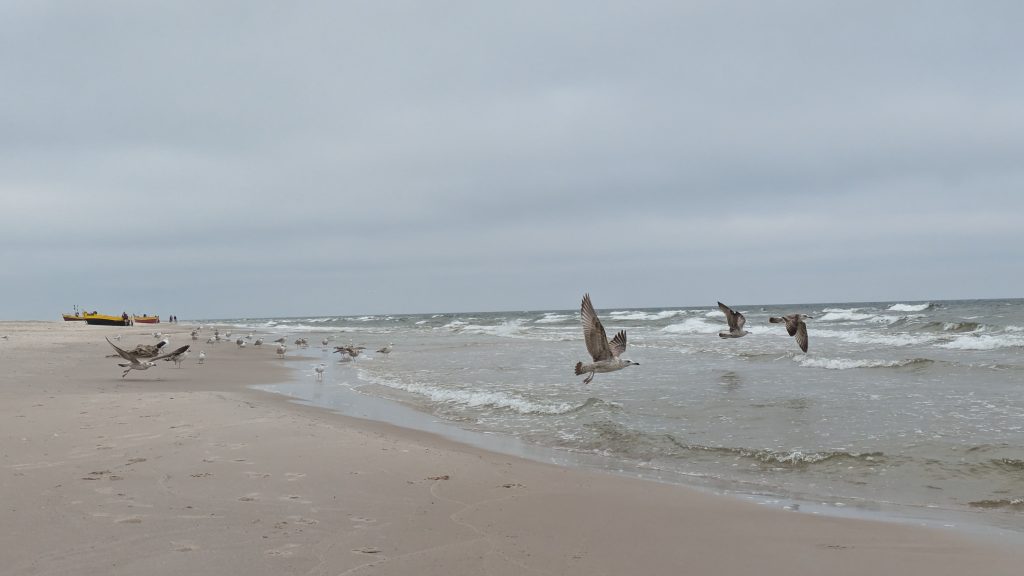 bałtyk jesienią