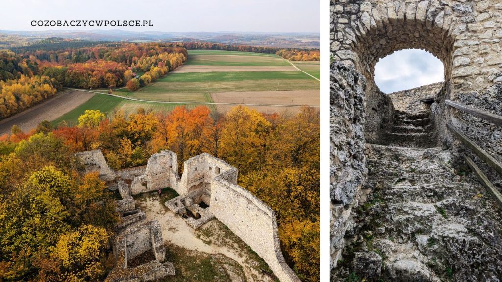 zamek pilcza